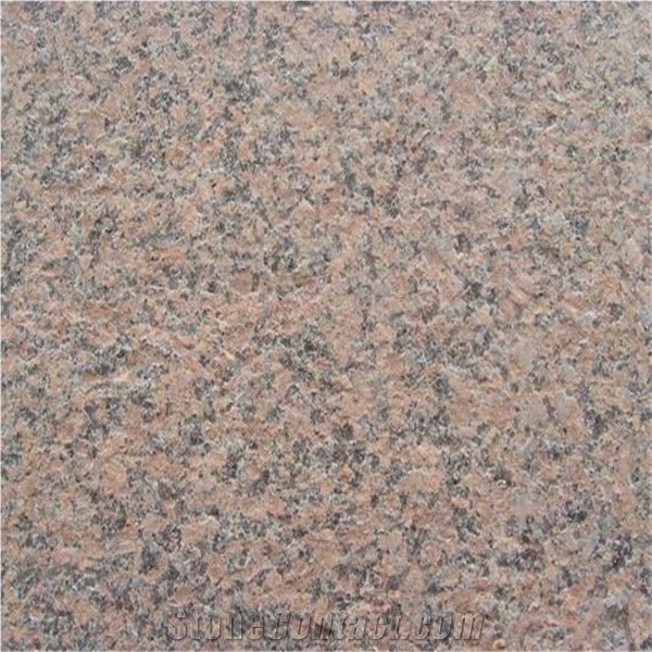 Chinese G562 Maple Leaf Red Granite Slabs, Tiles