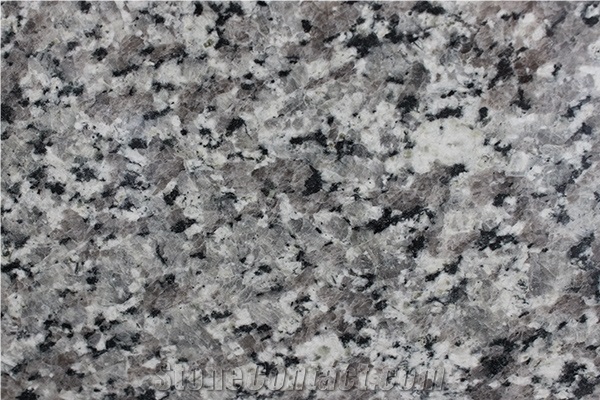 China Cheap Granite Swan Grey Commercial Counters