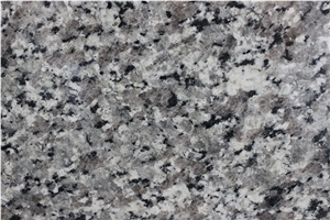 China Cheap Granite Swan Grey Commercial Counters