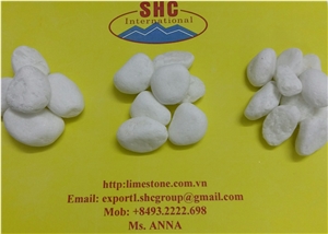 Yen Bai White Marble Pebble Stone