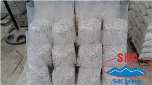 Yen Bai White Marble Pebble Stone