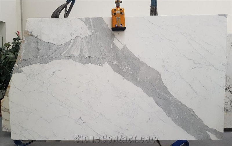 Statuario Venato White Statuary Marble Slabs