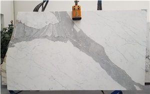 Statuario Venato White Statuary Marble Slabs