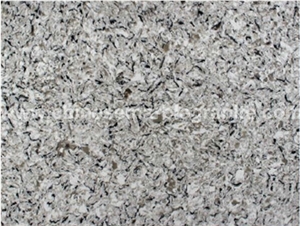 Ice Princess Marble Veins Grey Quartz Countertops