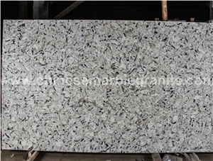 Ice Princess Marble Veins Grey Quartz Countertops