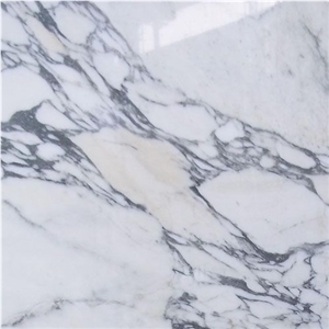 Italian Arabescato Corchia White Marble Big Slabs Italian Arabescato Corchia White Marble Big Slabs
