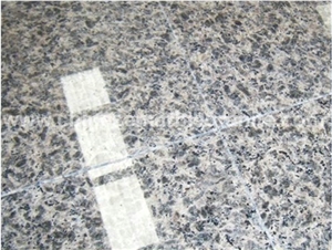 Versatile Leopard Skin Grey Granite Slabs, Tiles