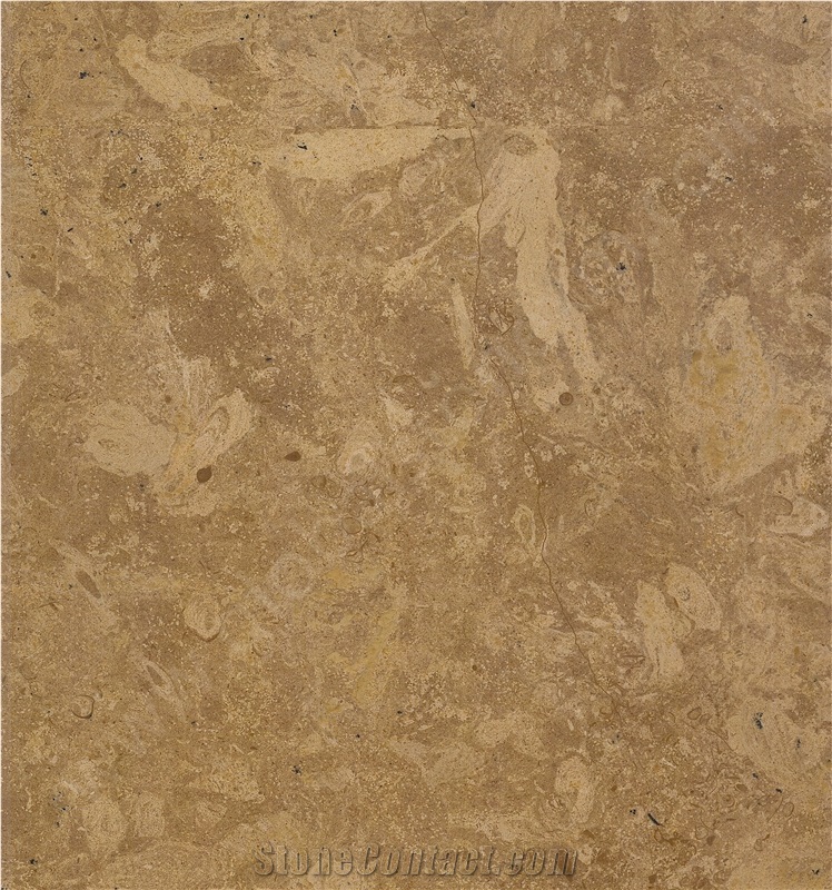 Flower Gold Limestone Slab Tiles for Walling