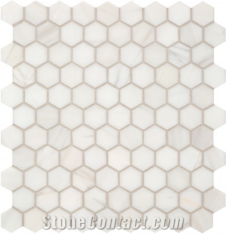 Dolomite 4.8cm Marble Hexagon Floor Mosaic