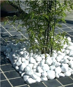 White Rive Pebble Stone for Paving Walkway