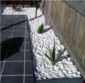White Rive Pebble Stone for Paving Walkway