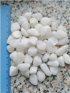 White Rive Pebble Stone for Paving Walkway