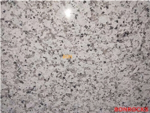 Bala White Granite Polished Slab