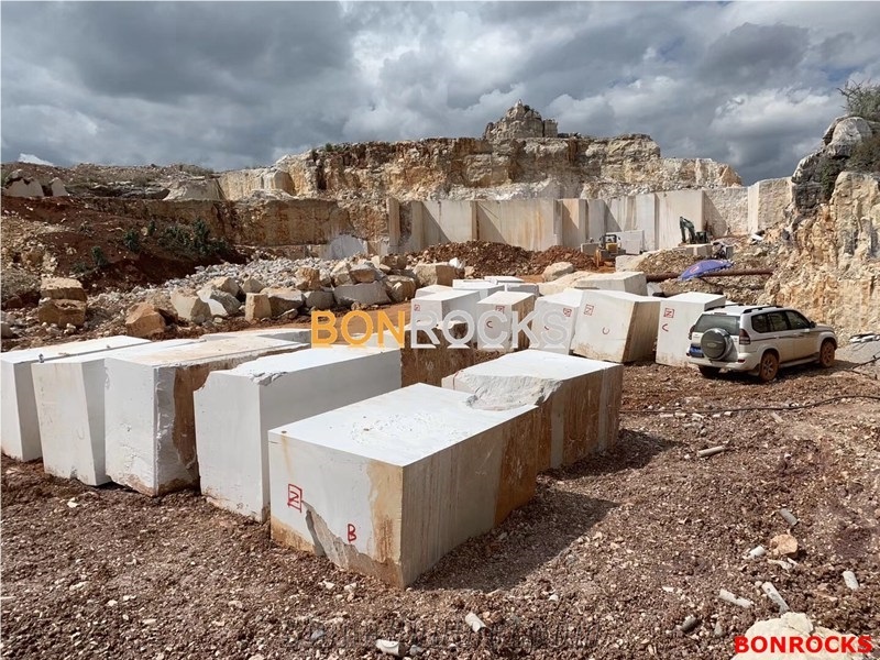 Begonia White Marble Blocks