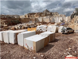 Begonia White Marble Blocks