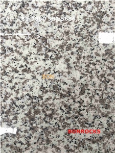 China Bianco Sardo Grey Granite G439 Countertops