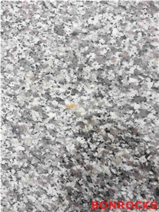 G623 China Bianco Sardo Granite Polished Tile G623 China Bianco Sardo Granite Polished Tile