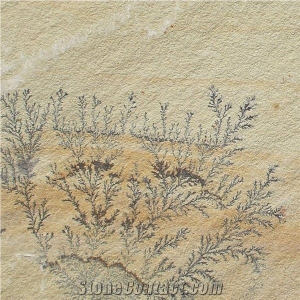 Fossil Mint Sandstone Patio Pavings