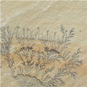 Fossil Mint Sandstone Patio Pavings