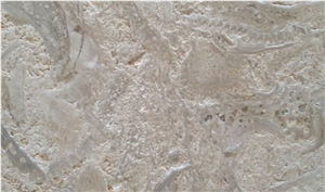 Fossil Beige Limestone Tiles