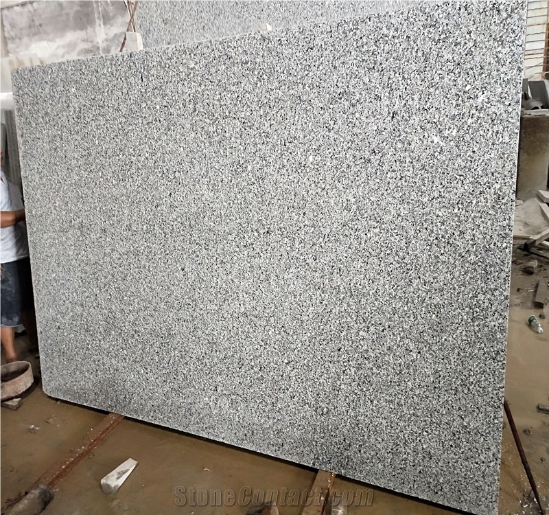 Chinese Swan Blue Granite for Monument/Tombstone