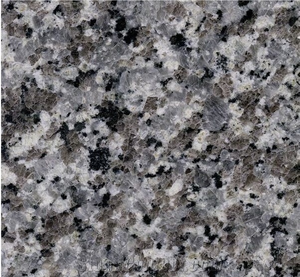 Chinese Swan Blue Granite Tiles for Floor Paving