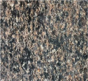 New Merry Gold, Camel Brown Granite Tiles & Slabs