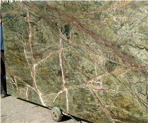 Polished India Rainforest Green Marble Slabs Tiles