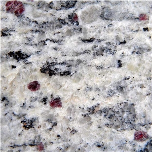 Santa Cecilia Light Granite Kitchen Countertops