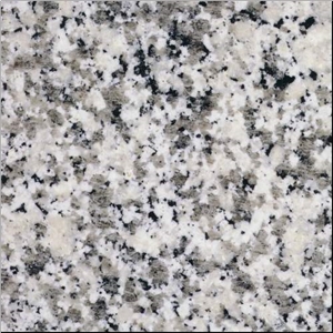 Saudi Bianco Cristal White Granite Tile&Countertop