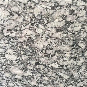 Sea Wave Flower G418 Spray White Granite Tile