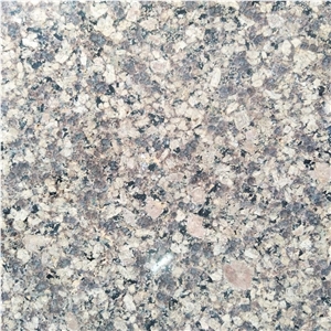 Wholesale India Classic Brown Paradise Granite