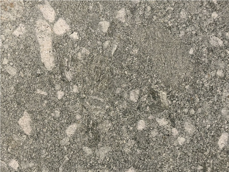Pierre De Salvan- Verde Salvan Gneiss Tiles
