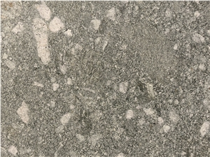 Pierre De Salvan- Verde Salvan Gneiss Tiles