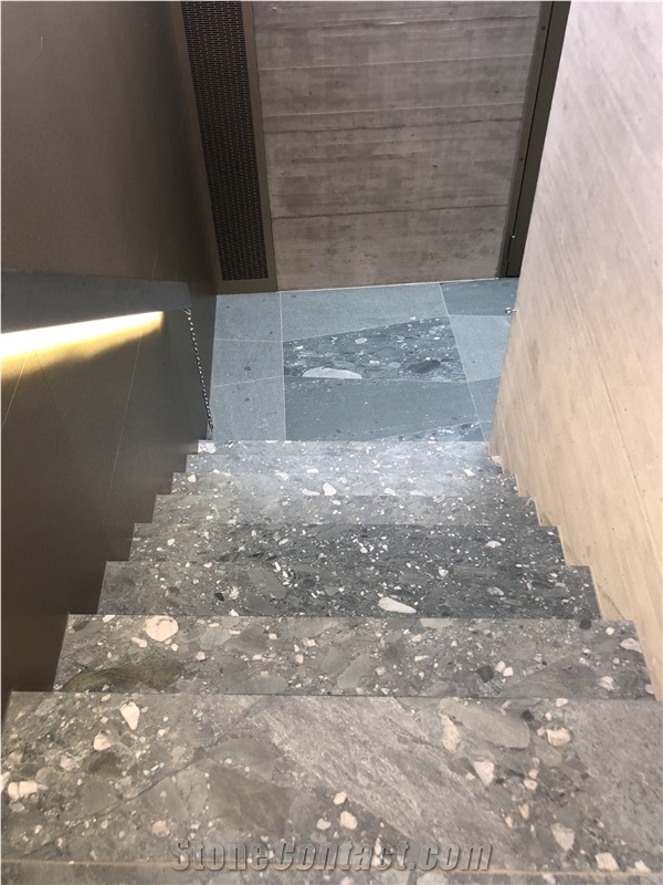 Pierre De Salvan- Verde Salvan Gneiss Tiles