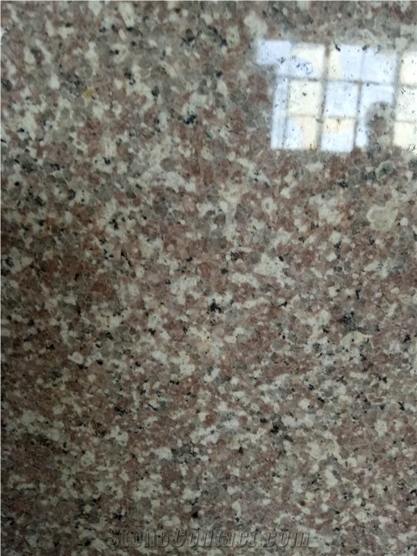 G664 Big Slabs and Tiles