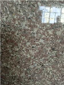 G664 Big Slabs and Tiles
