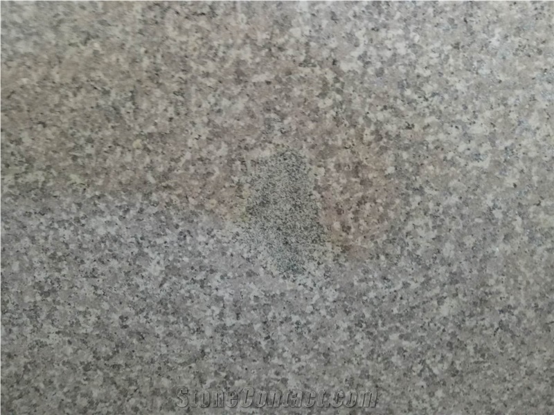 G664 Big Slabs and Tiles
