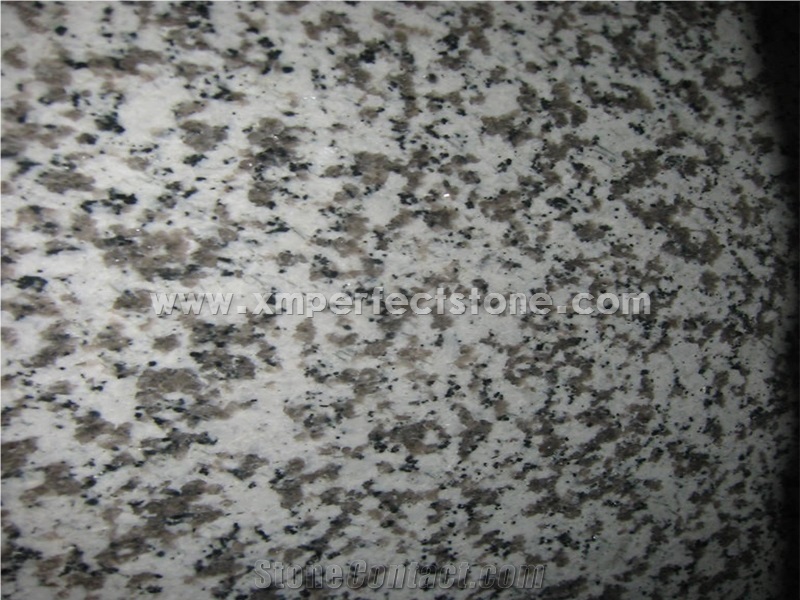 New G439 Granite/White Granite for Countertop