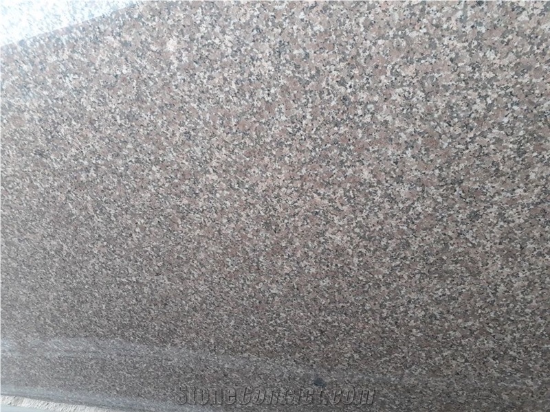 Cheema Pink Granite