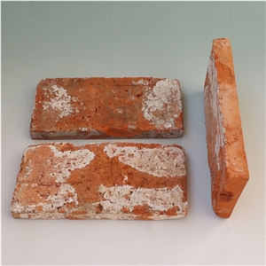 Old Reclaimed Bricks Veneer Panels in Red Color