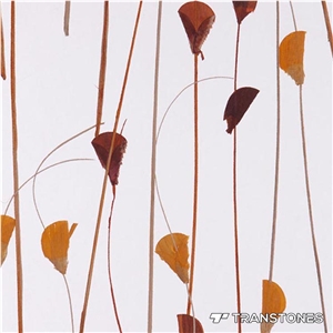 Most Popular New Design Decoration Acrylic Sheet