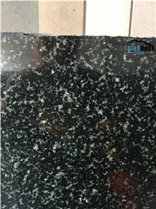 China Gem Green, Forest Green Granite Slab & Tiles