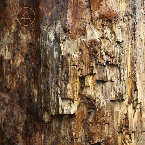 Petrified Wood Brown Black Building Stone Slab