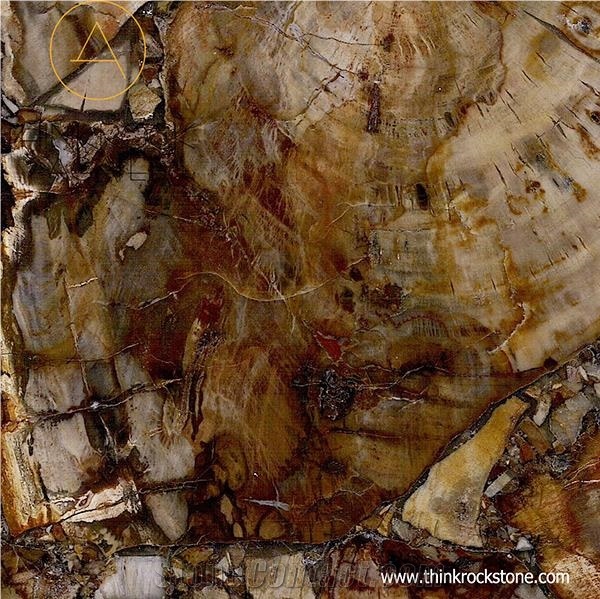 Petrified Wood Semi Precious Tiles & Slabs
