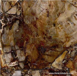 Petrified Wood Semi Precious Tiles & Slabs Petrified Wood Semi Precious Tiles & Slabs
