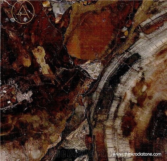 Petrified Wood Semi Precious Tiles & Slabs