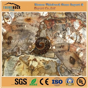 Petrified Wood Semiprecious Stone Tiles Slabs