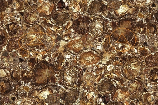 Petrified Wood Slab,Semi Precious Stone,Fossil