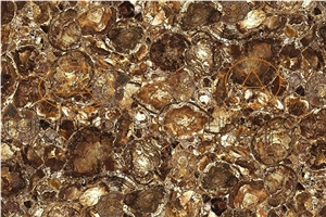 Petrified Wood Slab,Semi Precious Stone,Fossil
